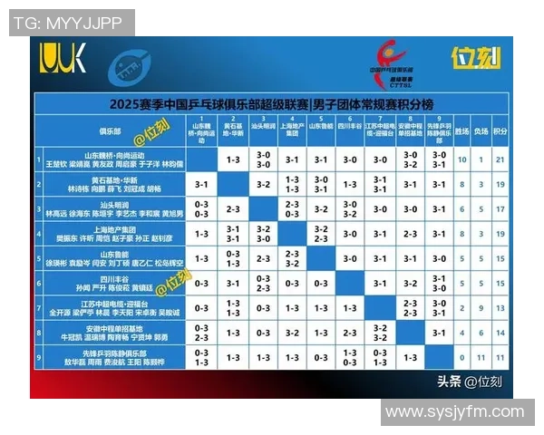 北京乒乓球队在最新耐力排行榜中夺冠乒乓球运动员实力对比分析