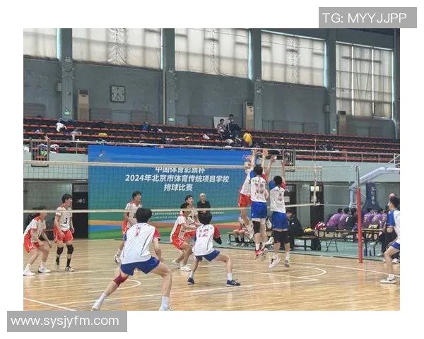 北京排球队技术争议引发热议球迷与专家各执己见探讨战术与表现