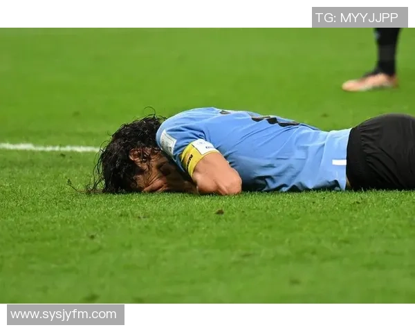 谁是足球界的璀璨明星与冠军之王揭秘球场传奇的背后故事 谁是足球界的璀璨明星与冠军之王揭秘球场传奇的背后故事