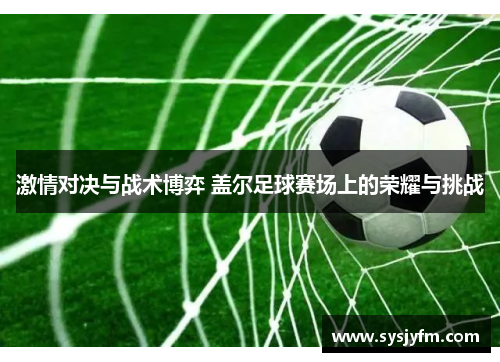 激情对决与战术博弈 盖尔足球赛场上的荣耀与挑战