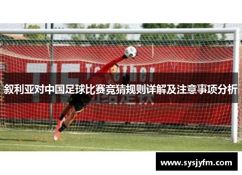 叙利亚对中国足球比赛竞猜规则详解及注意事项分析